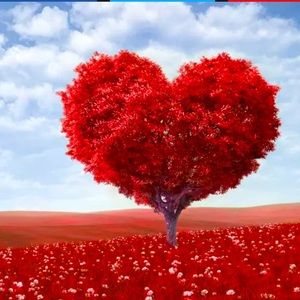 🍃✨Unlisted Items For Live Shows ✨🍃